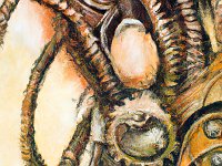 061-gp1  Titel + Nummer (Bitte bei der Bestellung angeben):  --- "StQ-061" ---   (noch verfügbar: 25 von 25)