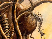 063-gp1  Titel + Nummer (Bitte bei der Bestellung angeben):  --- "StQ-063" ---   (noch verfügbar: 25 von 25)